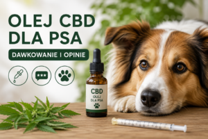 Olej CBD dla psa – dawkowanie i opinie, grafika wyróżniająca z psem oraz butelką produktu CBD.